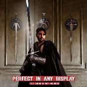 WWP1 - The Witcher - Plaque Murale pour les Epées Steel and Silver